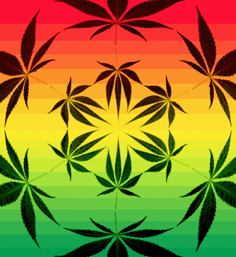 Cannabis Edibles